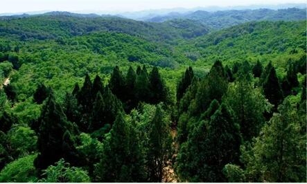 济源市2017年度林业工作目标考核河南全省第
