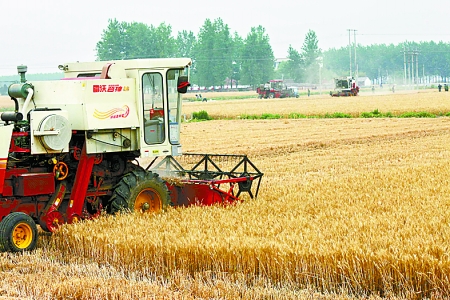 河南已收小麦2486.693万亩 信阳南阳麦收已近