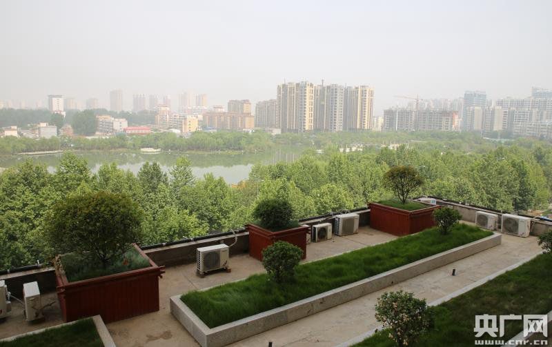 河南宝丰：园林创建又出新举措 屋顶绿化效果初显