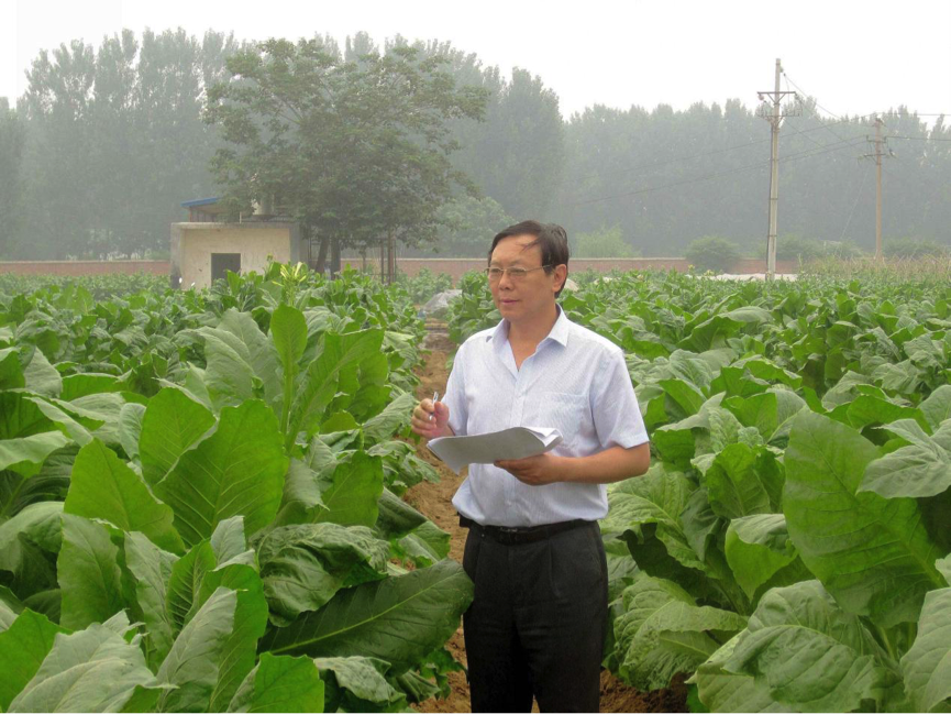 种,水肥一体节民力 --专访河南农业大学烟草学