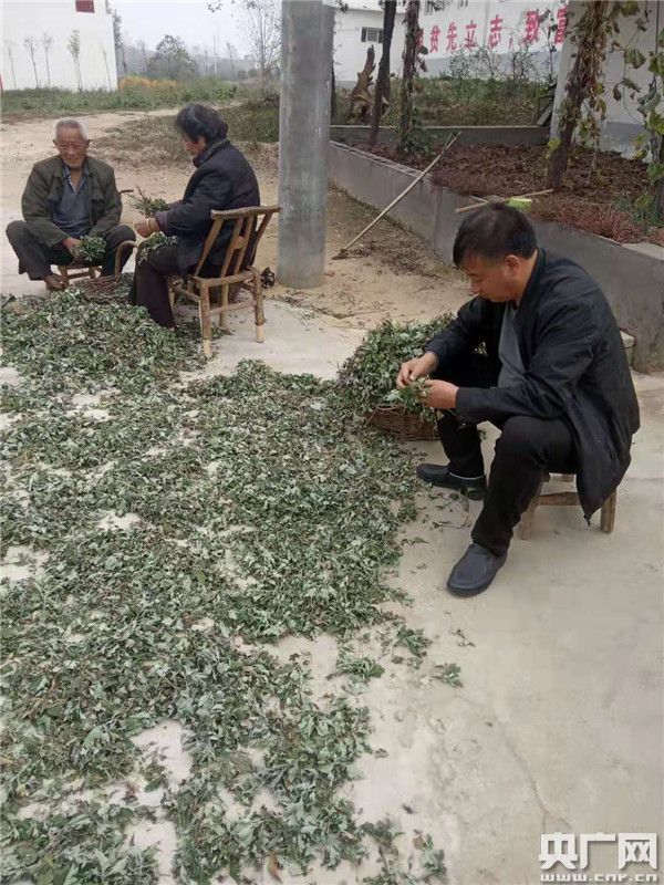 祁仪镇人口_人口普查